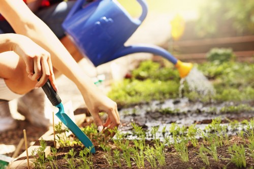 Gardeners Kings Cross improving a small urban garden