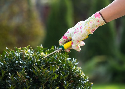 Gardeners Kings Cross team caring for a landscaped urban garden