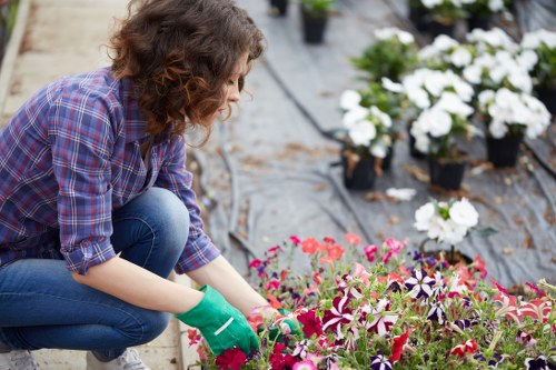 Sorting green waste for recycling in an urban garden