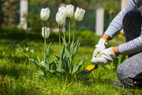 Professional garden maintenance in Kings Cross with healthy planting