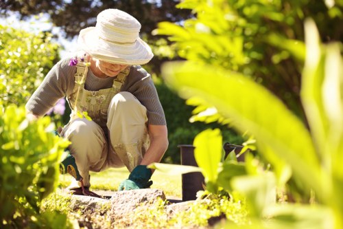 Crown reduction and pruning services for trees in Kings Cross