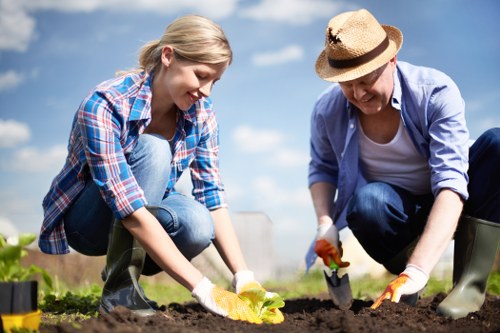 Healthy lawn care in Kings Cross with neat grass and urban garden setting