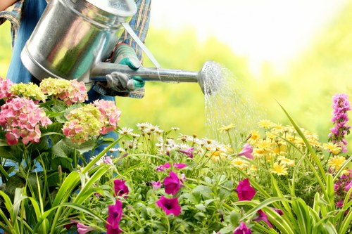 Professional lawn maintenance in Kings Cross for shaded city lawns