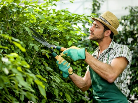 Responsible recycling and sustainability practices for Gardeners Kings Cross