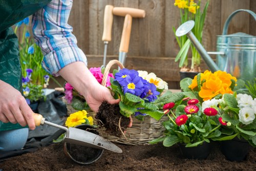 Seasonal planting and upkeep for Kings Cross gardens