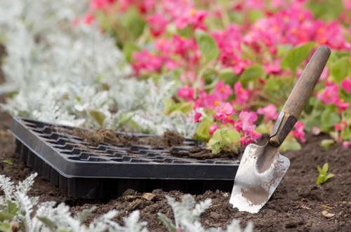 Example garden clearance job for a busy Kings Cross property