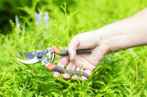 Seasonal grass treatment and mowing in Kings Cross outdoor space