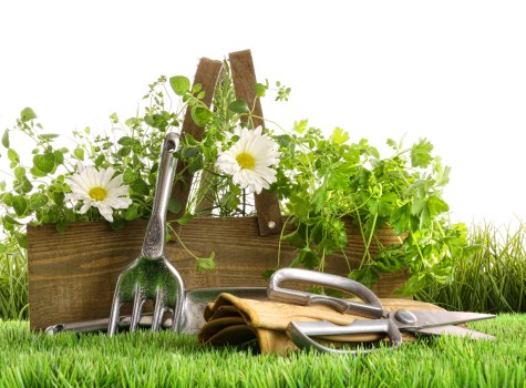 Risk assessment process for garden maintenance in Kings Cross