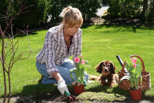 Charity partnership reuse of garden materials in Kings Cross