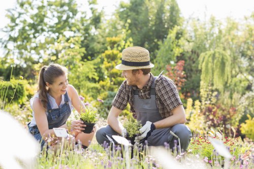 Lawn aeration and fertilising service for Kings Cross properties