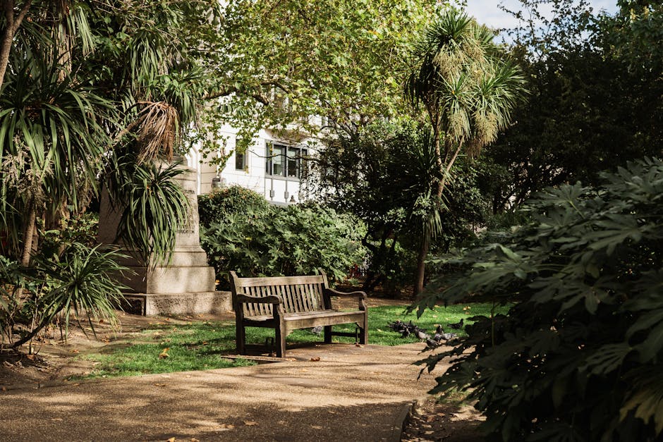A tranquil garden scene featuring a weathered wooden bench positioned on a gravel pathway surrounded by lush greenery, including various tropical plants and trees with broad leaves. To the left, tall